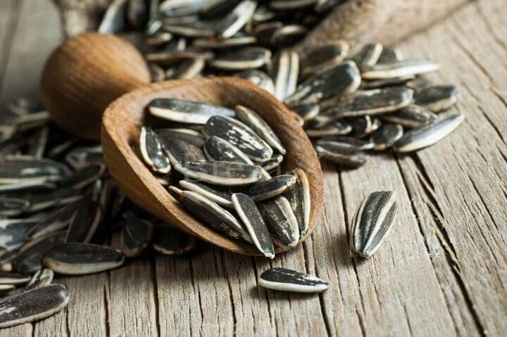 Foto: Guliver/Getty Images