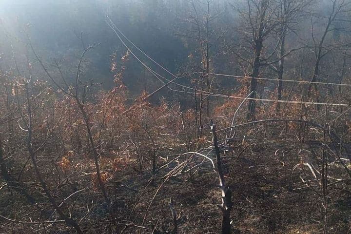 Apelujemo na pojedince da svojim postupcima ne ugrožavaju ljude i elektroenergetske objekte!