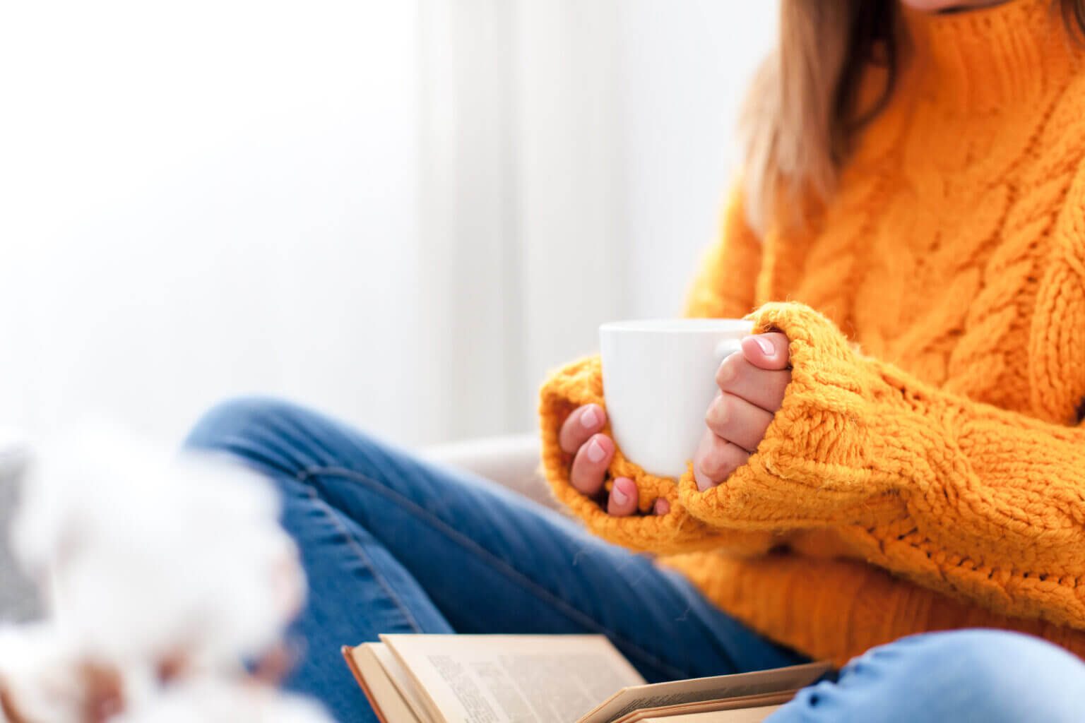 Foto: Maryna Andriichenko / iStock / Getty Images Plus