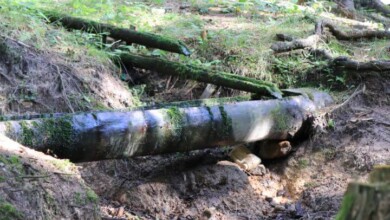 Drveno korito, Zvijezda, Vareš Foto: Breza X