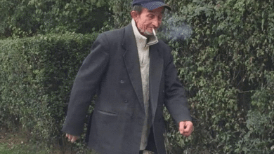 Gavro (Foto: Zarije Seizović)