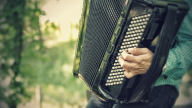 Najava 8. tradicionalne Harmonikijade: Slavlje muzike, tradicije i zajedništva