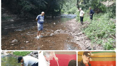 Foto: Tarik Smailbegović