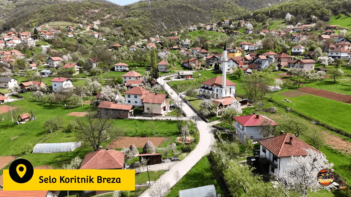 Foto: YouTube/Amel Beširević