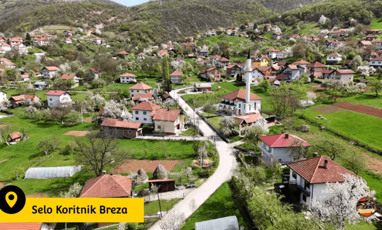 Foto: YouTube/Amel Beširević