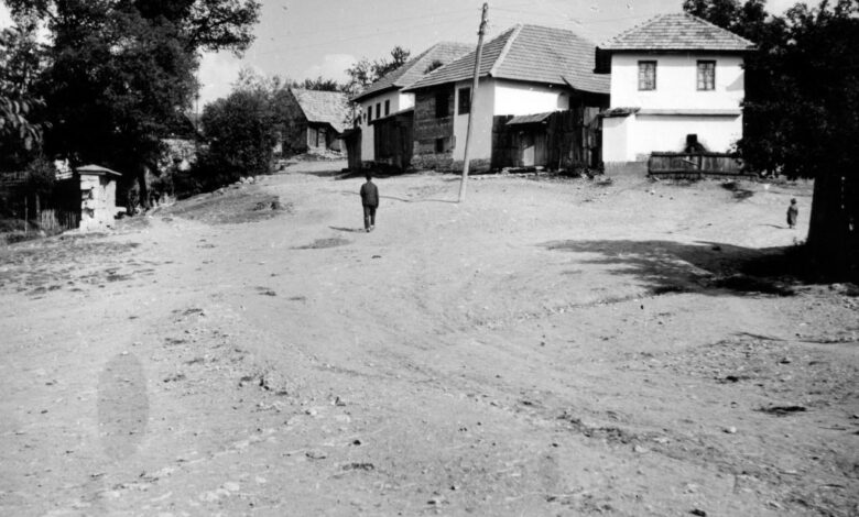 Foto: Joel Martin Halpern