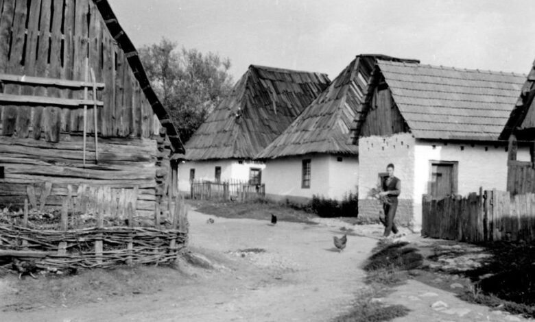 Foto: Joel Martin Halpern