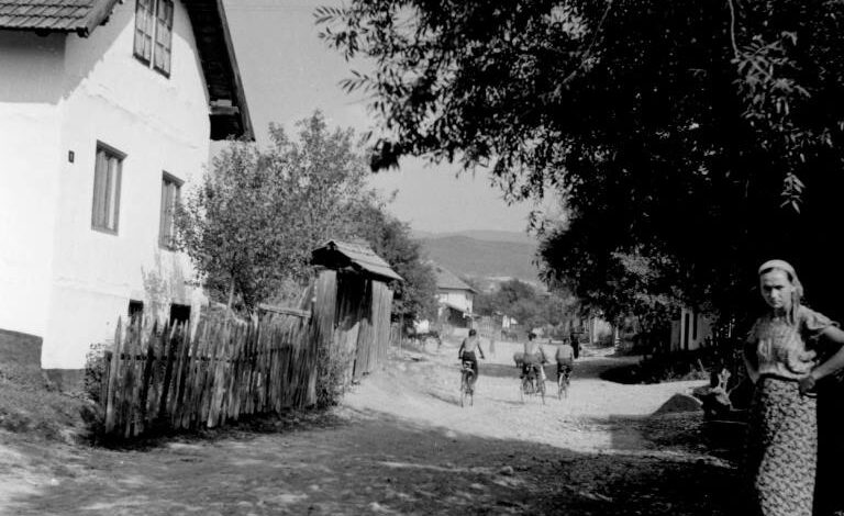 Foto: Joel Martin Halpern