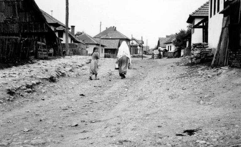 Foto: Joel Martin Halpern