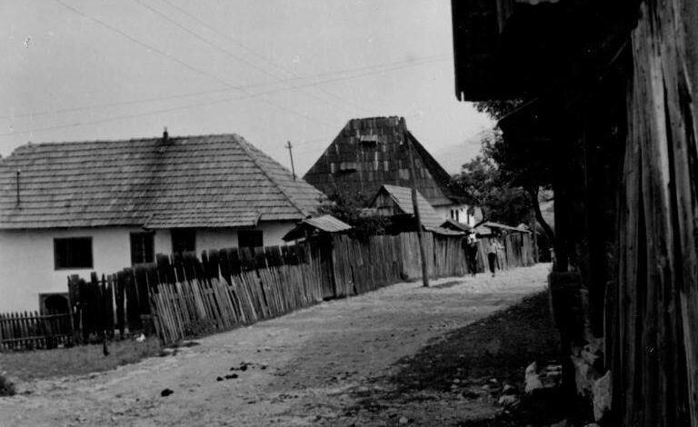 Foto: Joel Martin Halpern