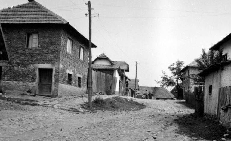 Foto: Joel Martin Halpern