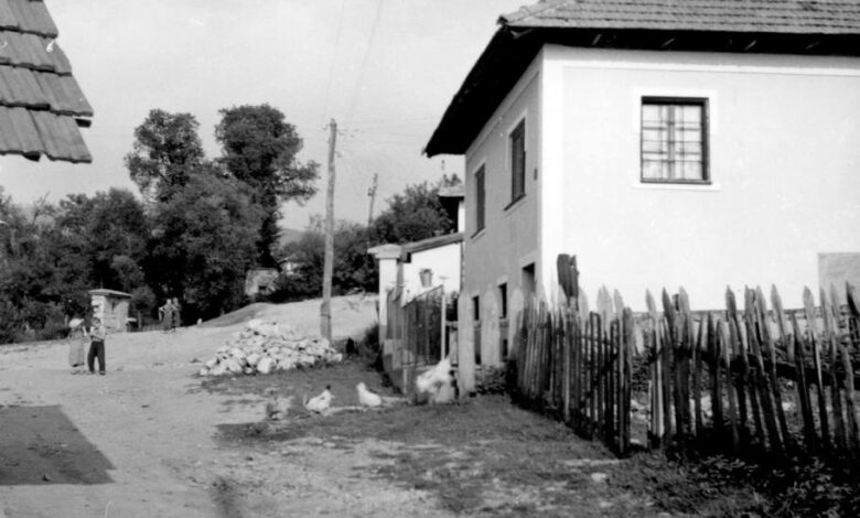 Foto: Joel Martin Halpern