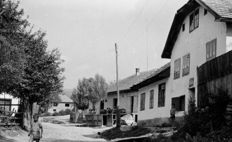 Foto: Joel Martin Halpern