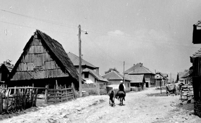 Foto: Joel Martin Halpern