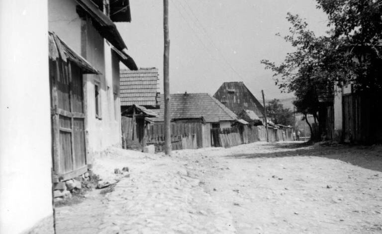 Foto: Joel Martin Halpern