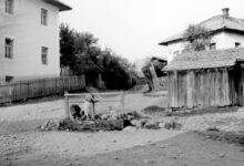 Foto: Joel Martin Halpern