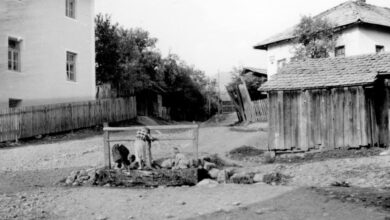 Foto: Joel Martin Halpern