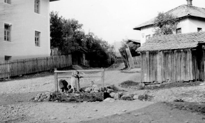 Foto: Joel Martin Halpern