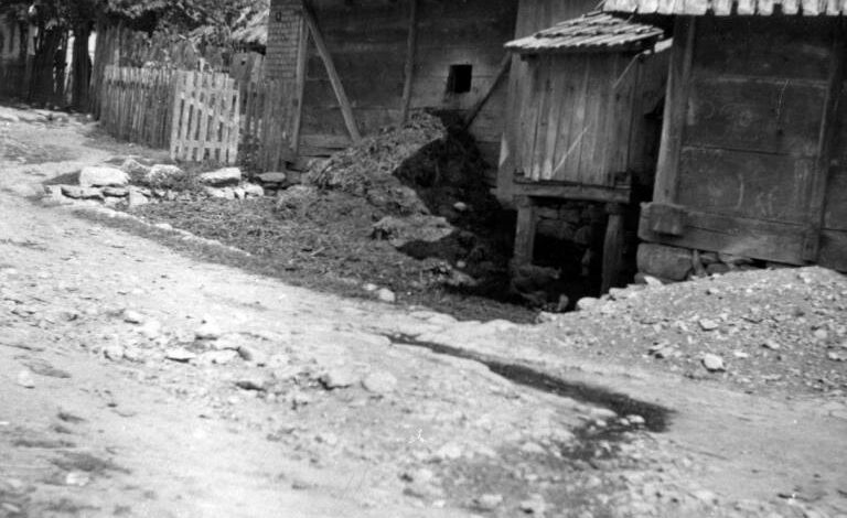 Foto: Joel Martin Halpern