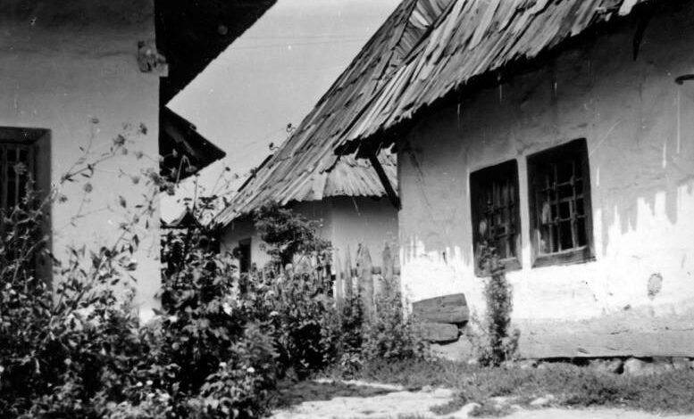 Foto: Joel Martin Halpern