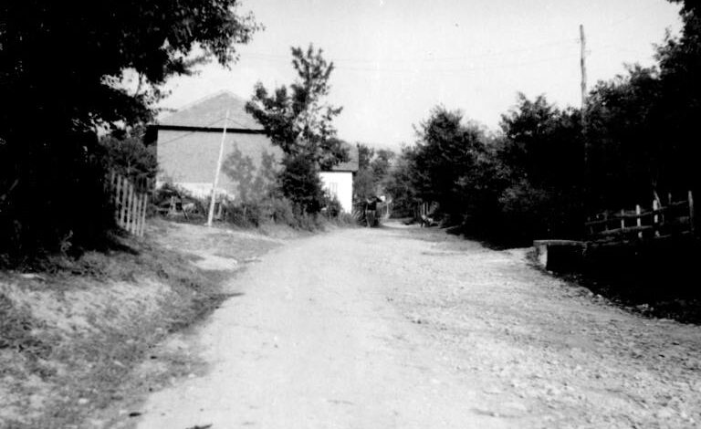 Foto: Joel Martin Halpern