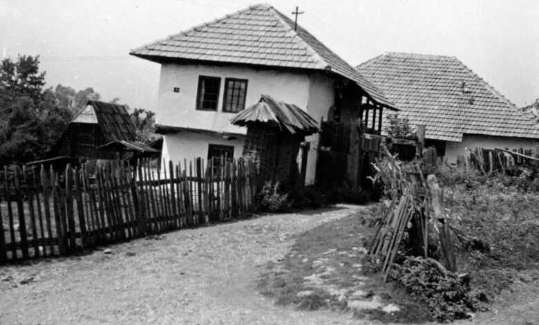 Foto: Joel Martin Halpern