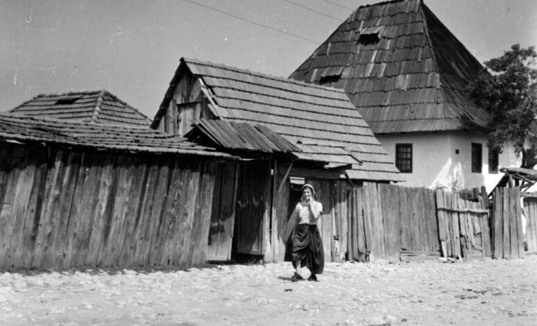 Foto: Joel Martin Halpern