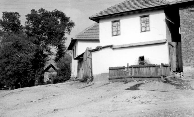 Foto: Joel Martin Halpern