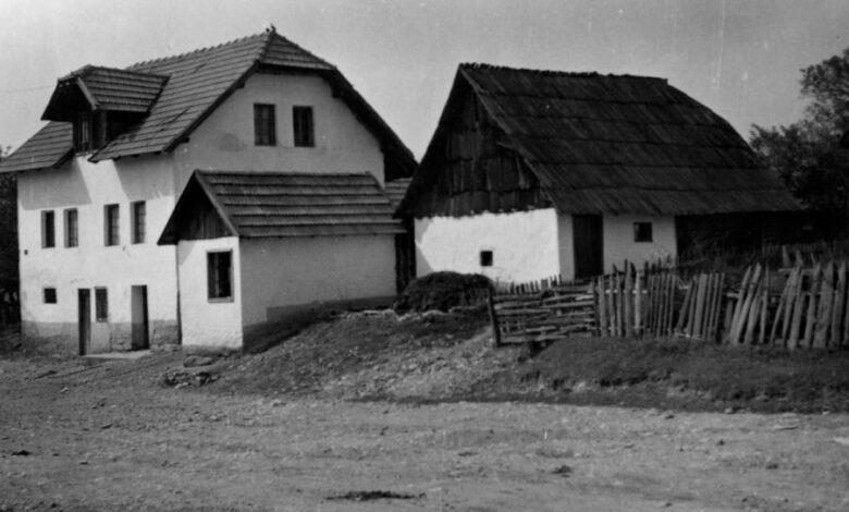 Foto: Joel Martin Halpern